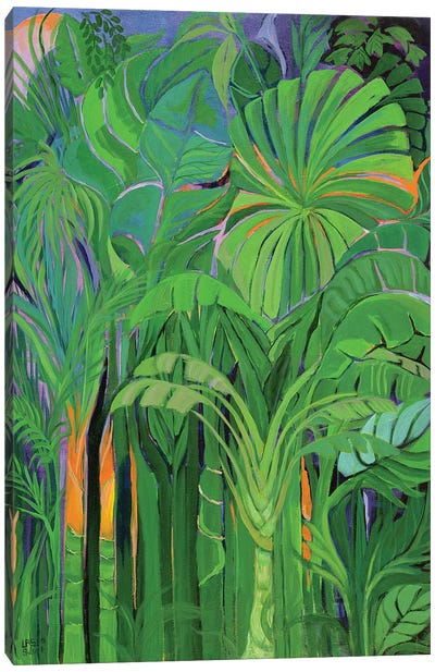 Rain Forest I, Malaysia, 1990 Canvas Art Print