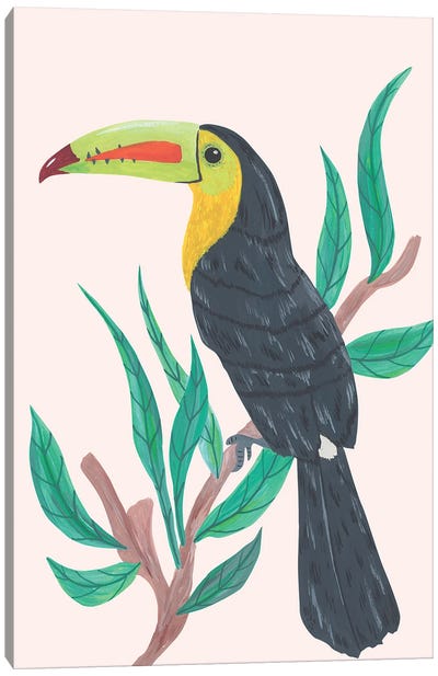 Tropical Soul Canvas Art Print - Toucan Art