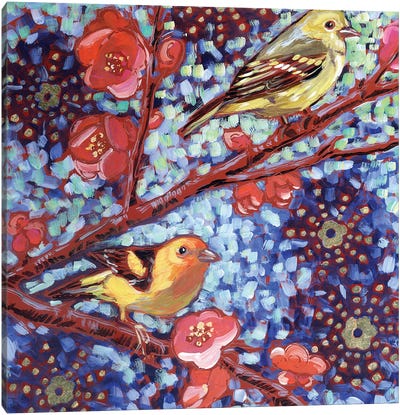Western Tanagers Canvas Art Print - Finch Art