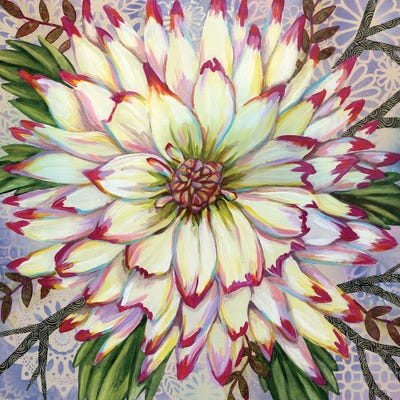 White Dahlia by Linnea Tobias framed canvas print