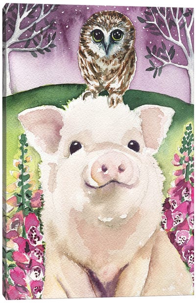 Year Of The Pig Canvas Art Print - Linnea Tobias