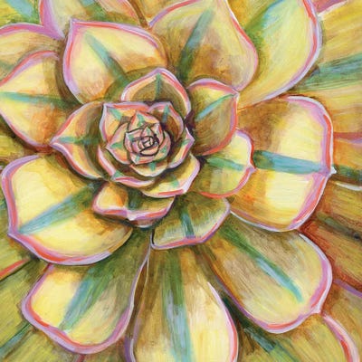 Yellow Striped Succulent by Linnea Tobias framed canvas print