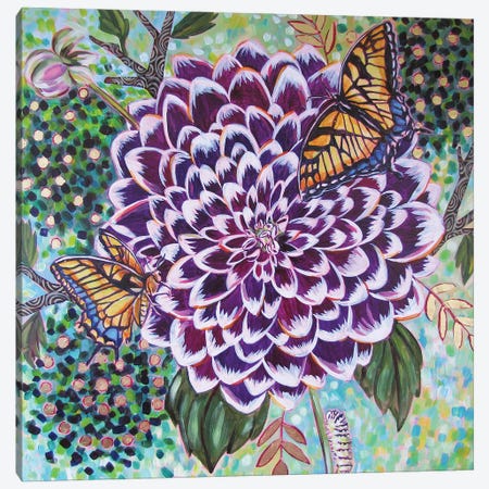 Dahlia With Swallowtail Butterflies Canvas Print #LTB15} by Linnea Tobias Canvas Art