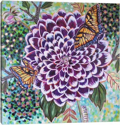 Dahlia With Swallowtail Butterflies Canvas Art Print - Dahlia Art
