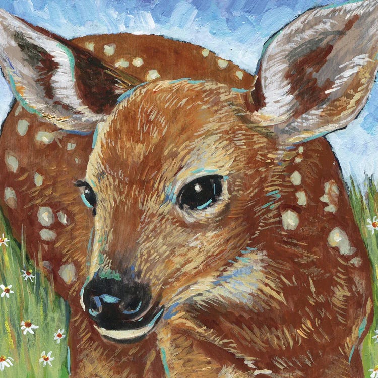 Fawn I