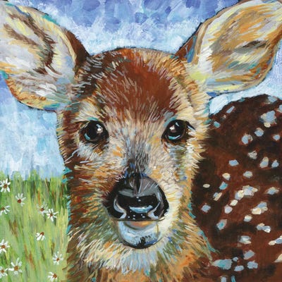 Fawn II by Linnea Tobias canvas print
