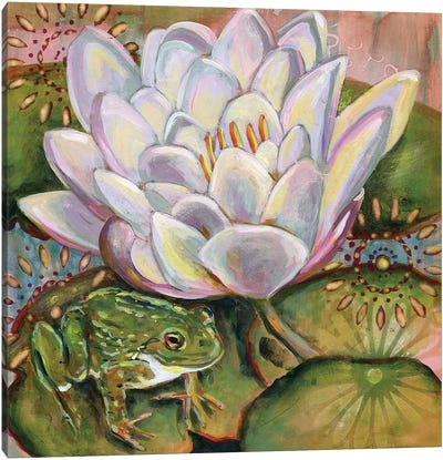 Frog II Canvas Art Print - Linnea Tobias