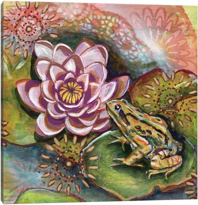 Frog III Canvas Art Print - Frog Art