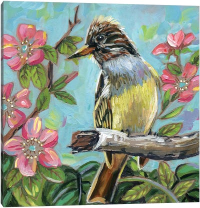 Great Crested Flycatcher Canvas Art Print - Linnea Tobias