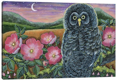 Grey Owl With Wildflowers Canvas Art Print - Linnea Tobias