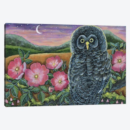 Grey Owl With Wildflowers Canvas Print #LTB45} by Linnea Tobias Canvas Art Print