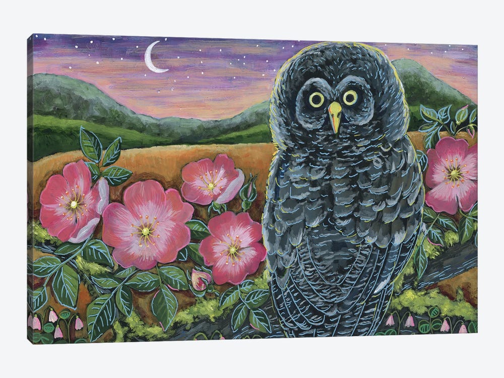 Grey Owl With Wildflowers by Linnea Tobias 1-piece Canvas Artwork