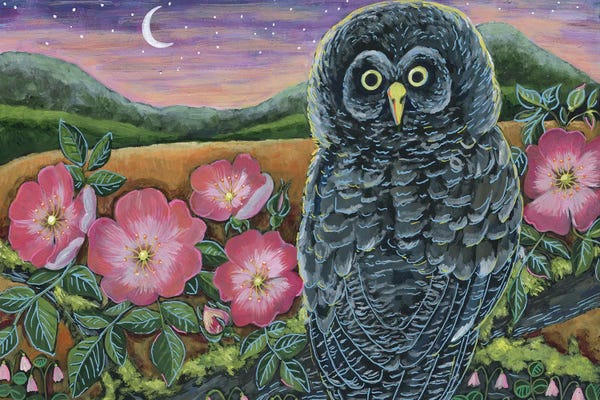 Wildflowers: Grey Owl With Wildflowers by Linnea Tobias
