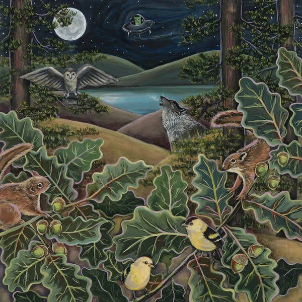 Natural Meets Mythical: Beam Me Up by Linnea Tobias