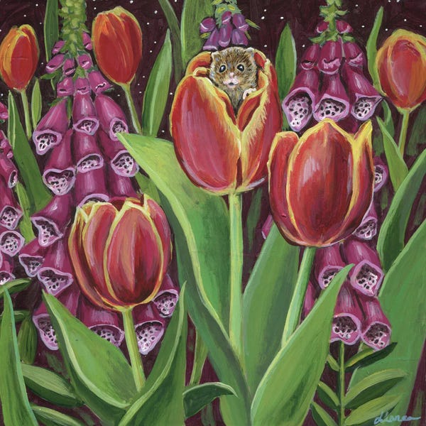 Tulips: Mouse House by Linnea Tobias