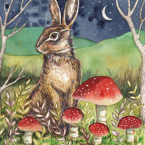 Natural Meets Mythical: Mushroom Season by Linnea Tobias