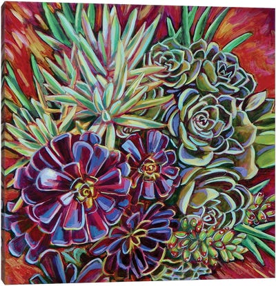 Pot Of Succulents Canvas Art Print - Plant Mom