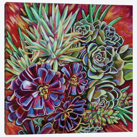 Pot Of Succulents Canvas Print #LTB70} by Linnea Tobias Art Print