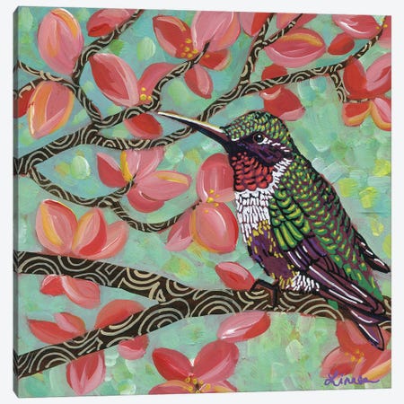 Spring Hummingbird I Canvas Print #LTB83} by Linnea Tobias Canvas Art