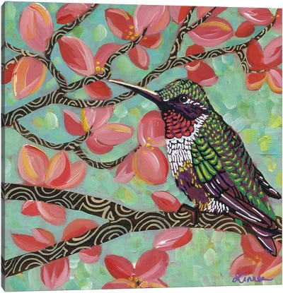 Spring Hummingbird I Canvas Art Print - Linnea Tobias