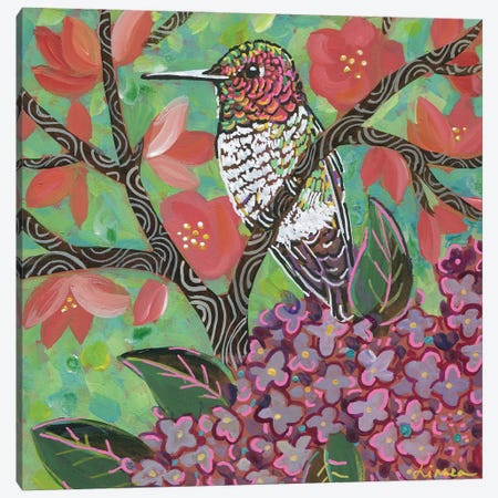 Spring Hummingbird II Canvas Print #LTB84} by Linnea Tobias Canvas Print