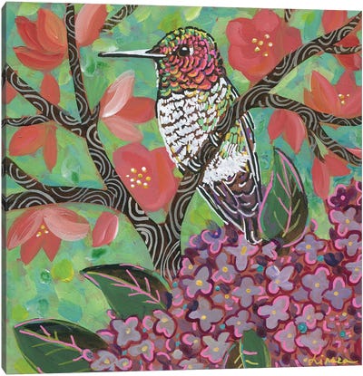 Spring Hummingbird II Canvas Art Print - Linnea Tobias