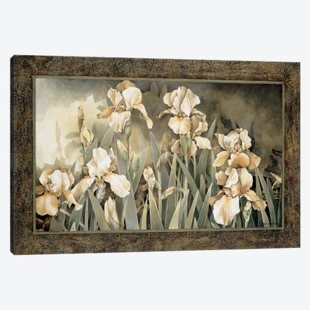 Field Of Irises Canvas Print #LTH12} by Linda Thompson Art Print