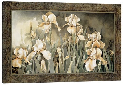 Field Of Irises Canvas Art Print - Iris Art