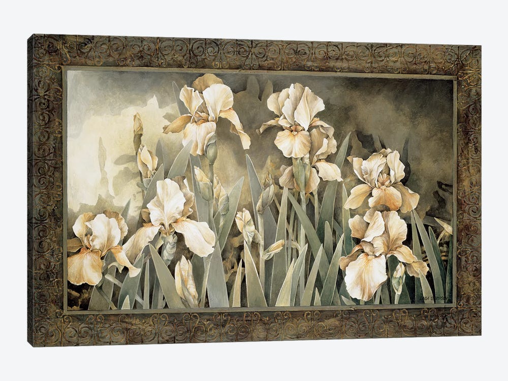 Field Of Irises by Linda Thompson 1-piece Canvas Artwork