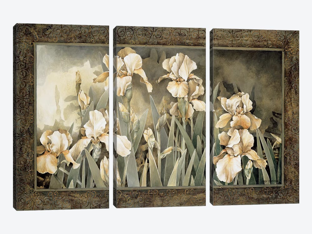 Field Of Irises by Linda Thompson 3-piece Canvas Wall Art