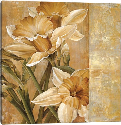 Champagne Daffodils I Canvas Art Print
