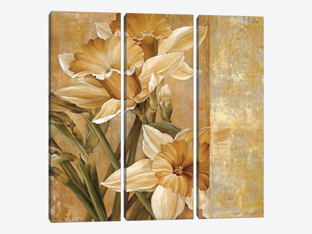 Champagne Daffodils I 3-piece Canvas Print