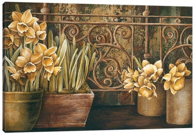 Ironwork With Daffodils Canvas Art Print