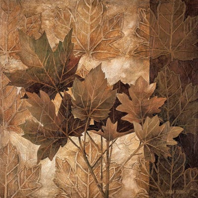 Leaf Patterns II by Linda Thompson framed canvas print