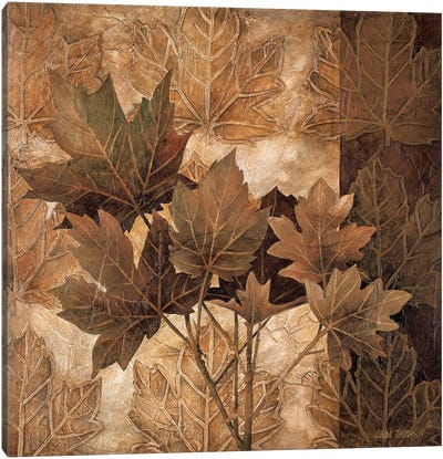 Leaf Patterns II Canvas Art Print