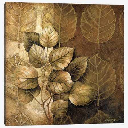Leaf Patterns III Canvas Print #LTH23} by Linda Thompson Canvas Wall Art