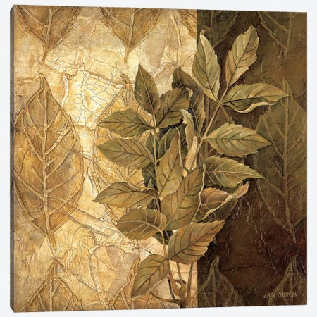 Leaf Patterns IV Canvas Print #LTH24} by Linda Thompson Art Print