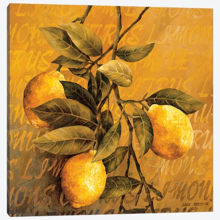 Lemon Branch Canvas Print #LTH25} by Linda Thompson Canvas Print