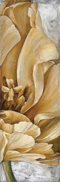 Single Appeal I by Linda Thompson wall art