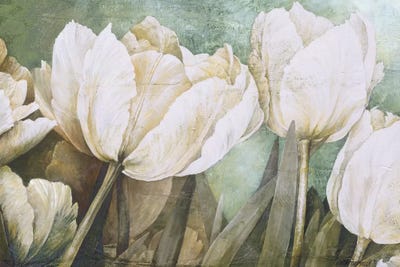 Taste Of Summer by Linda Thompson framed canvas print