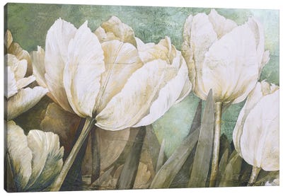 Taste Of Summer Canvas Art Print - Tulip Art