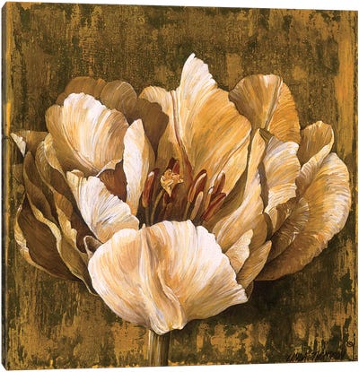 Full Of Life II Canvas Art Print - Tulip Art
