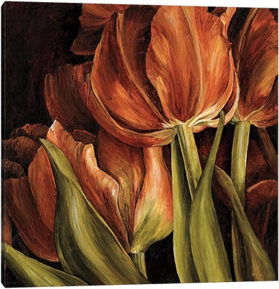 Color Harmony I Canvas Art Print - Tulip Art