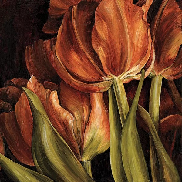 Linda Thompson: Color Harmony I by Linda Thompson