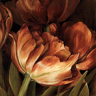 Color Harmony II by Linda Thompson framed canvas print