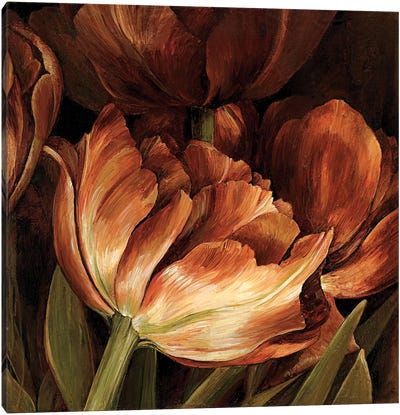 Color Harmony II Canvas Art Print - Tulip Art
