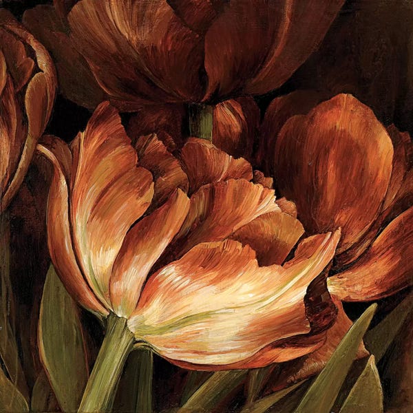 Linda Thompson: Color Harmony II by Linda Thompson