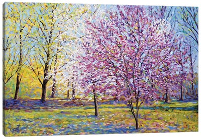 Spring Euphoria I Canvas Art Print - Lee Tiller