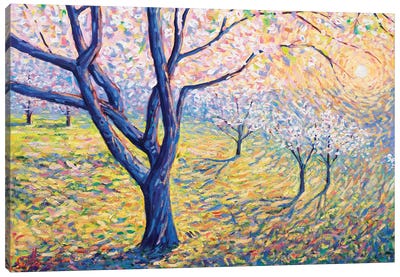 Spring Euphoria III Canvas Art Print - Lee Tiller
