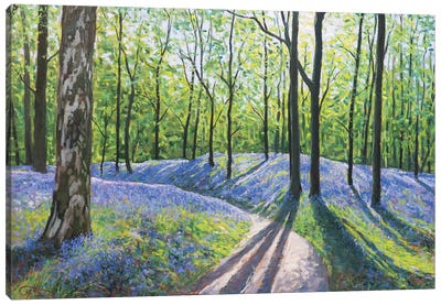 The Scent Of Bluebells Canvas Art Print - Lee Tiller